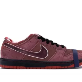 Dunk Low Concepts Red Lobster Quality Reps