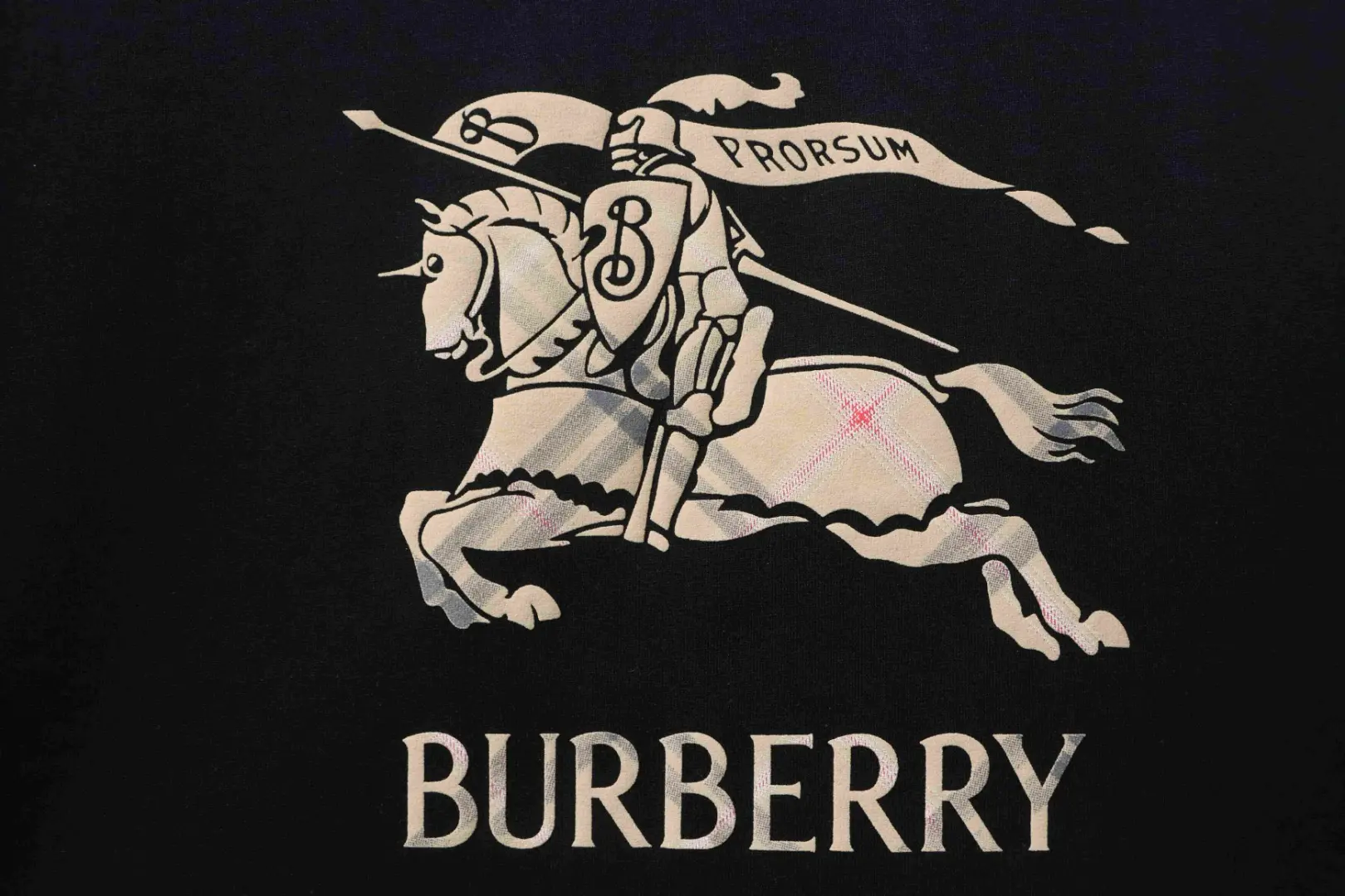 Kurzarm-T-Shirt mit Farbverlauf, Karomuster und Logo-Print eines Kriegspferdes – Bild 5