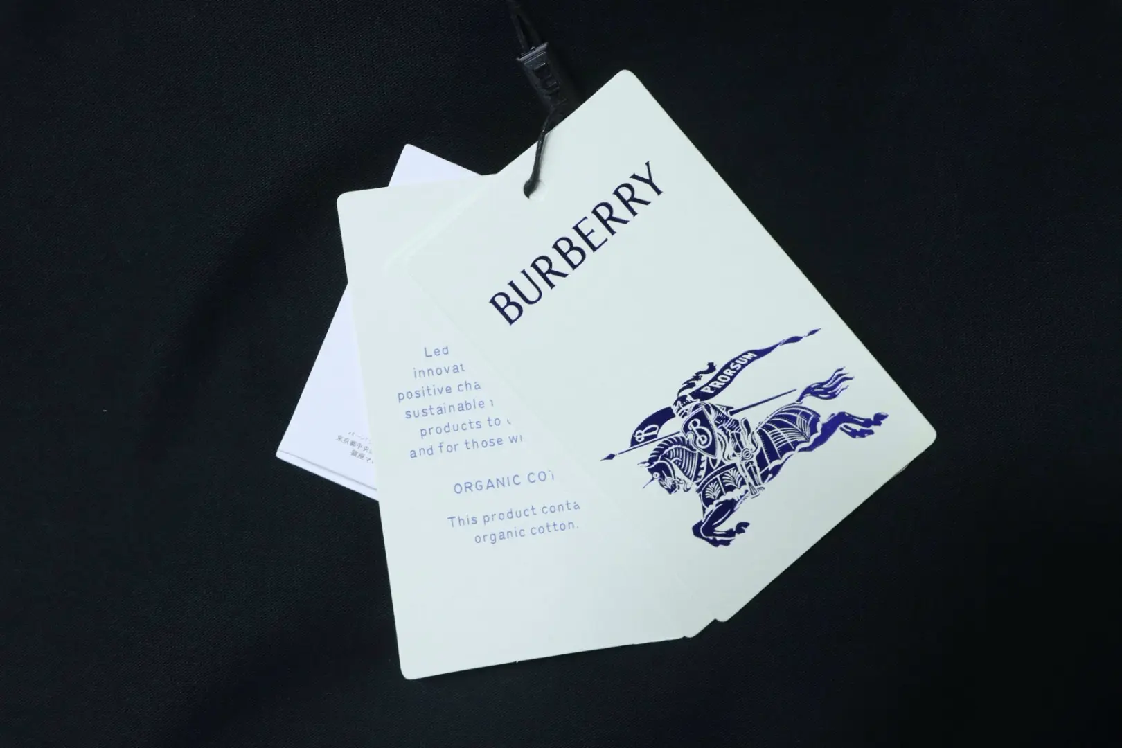 Kurzarm-T-Shirt mit kariertem Saum und besticktem Kriegspferd-Motiv – Bild 8