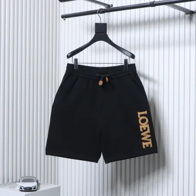 Loewe Vorderansicht Schwarz
