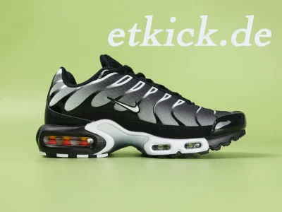 Air Max Plus 'Schwarz Metallic Silber'