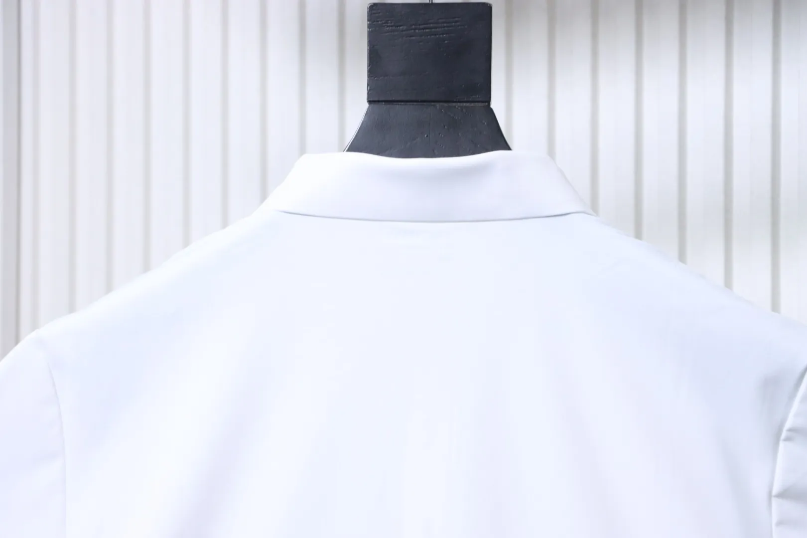 Arc'teryx Kragen hinten