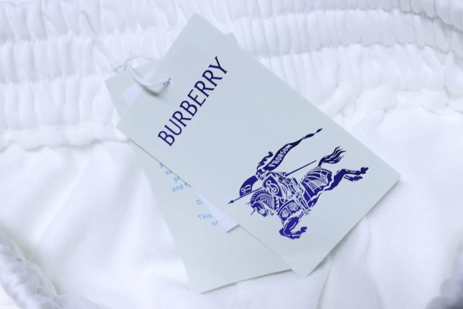 Burberry Hangtag
