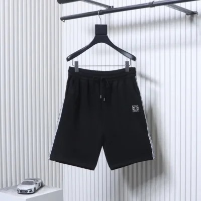 Loewe Vorderansicht Schwarz