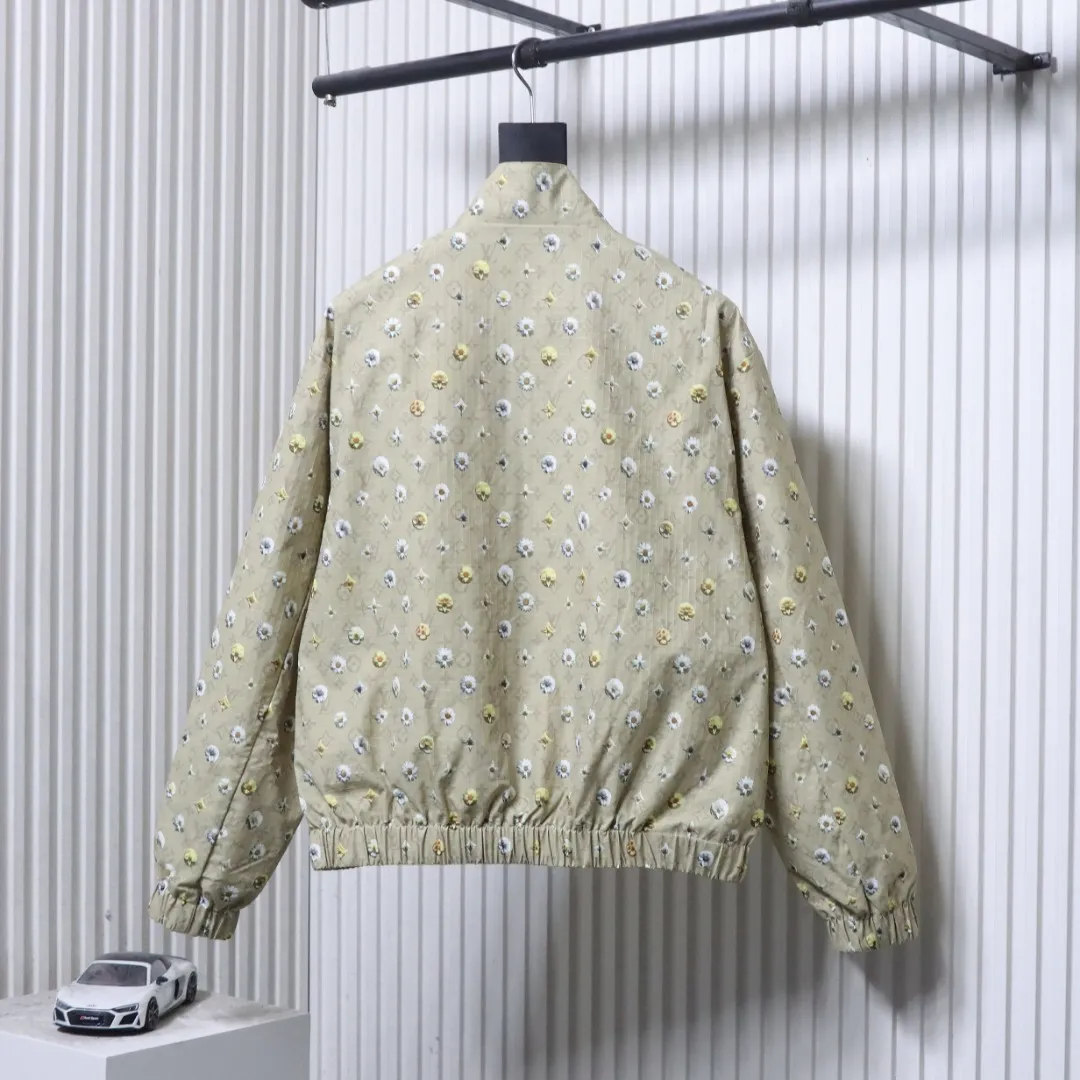Louis Vuitton Rückansicht